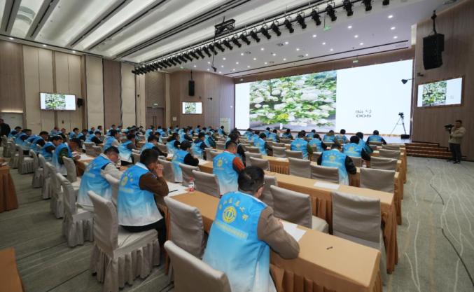 1761633905751310.jpg 40.jpg